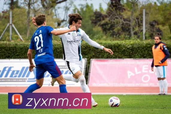 星空入口网页版登录平台生态图